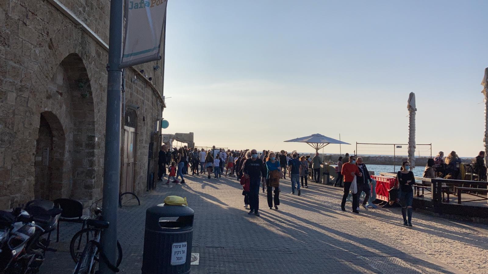 WhatsApp Image 2020-12-19 at 3.19.17 PM.jpeg.jpeg